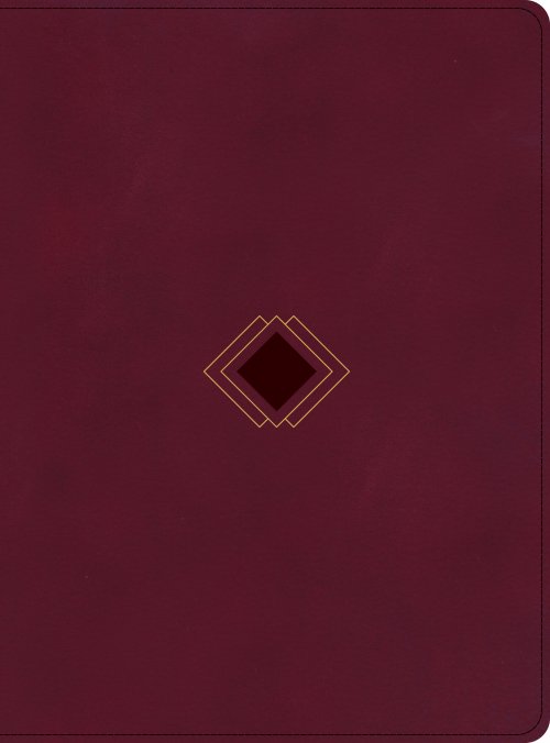 CSB Day-by-Day Chronological Bible, Burgundy LeatherTouch