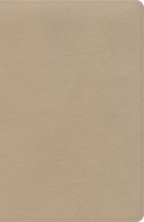 KJV Thinline Bible, Gold LeatherTouch