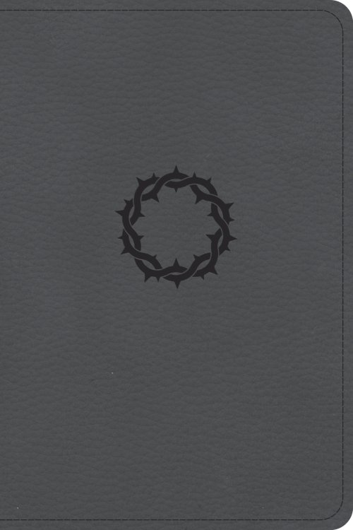 CSB Large Print Compact Reference Bible, Stone LeatherTouch