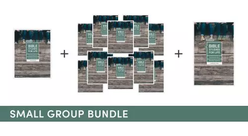 Bible Studies for Life: Students - Small Group Bundle - Spring 2023