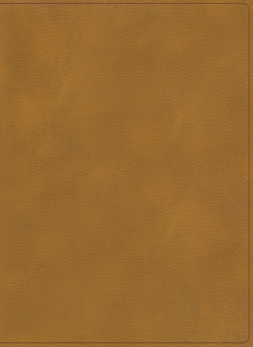 RVR 1960 Biblia ilustrada de la Tierra Santa, café símil piel con índice
