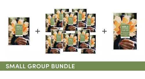 Bible Studies for Life: Students - Small Group Bundle - Fall 2023