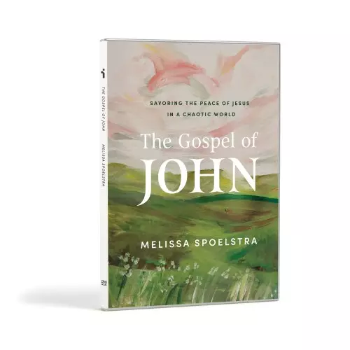 Gospel of John - DVD Set