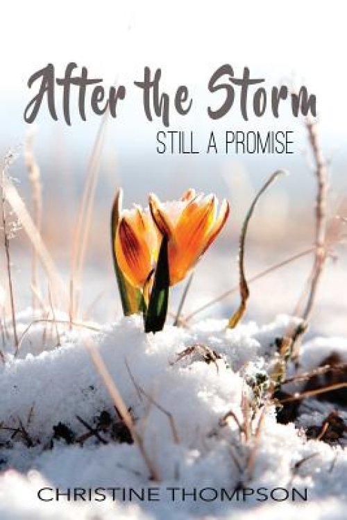 After the Storm: Still a Promise