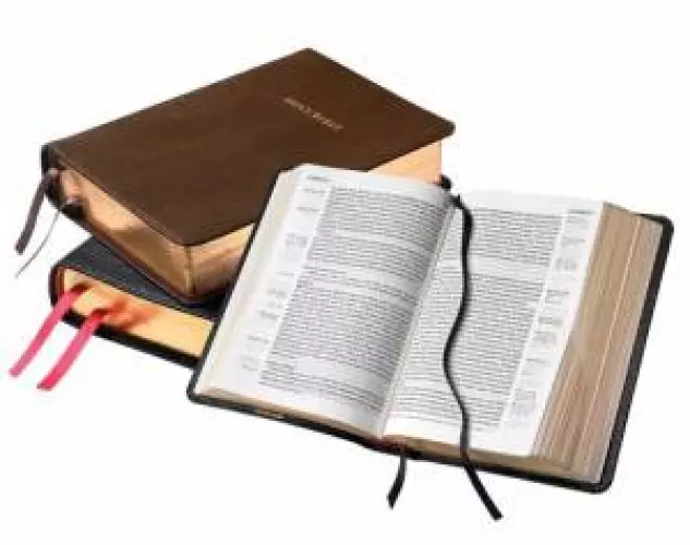 NASB Clarion Reference Bible: Brown, Calfskin Leather