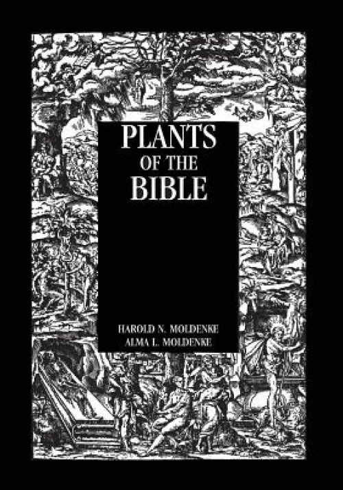 Plants of the Bible
