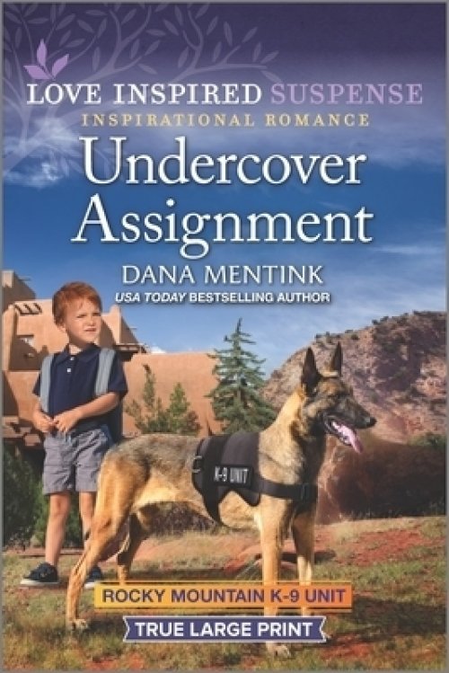 Undercover Assignment