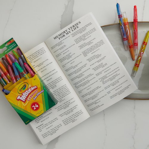 International Children's Bible (ICB) Gift and Award Bible for Girls