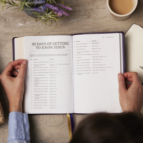 KJV Holy Bible with 73,000 Center-Column Cross References, Purple Leathersoft, Red Letter, Comfort Print: King James Version