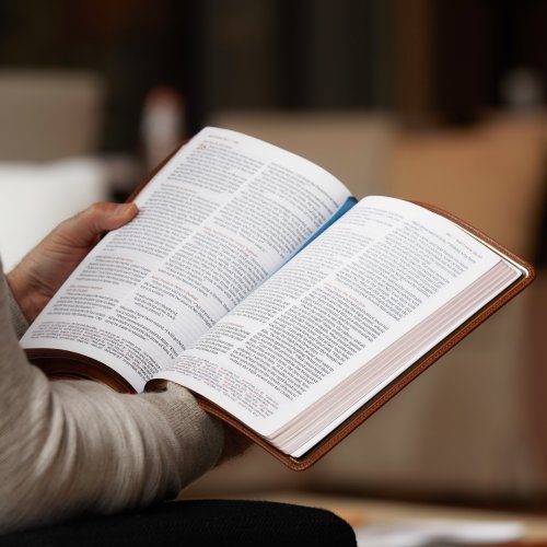 NKJV, Thinline Reference Bible, Large Print, Premium Goatskin Leather, Green, Premier Collection, Red Letter, Comfort Print