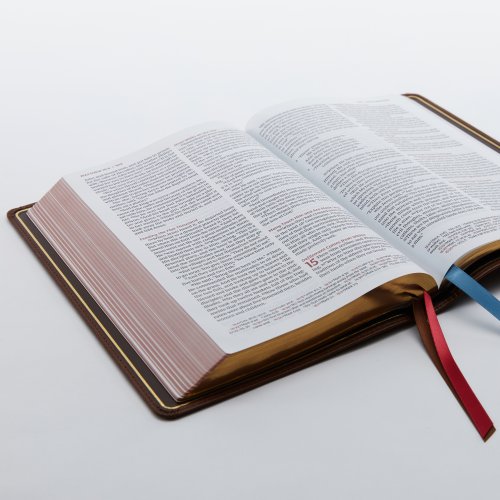 NKJV, Thinline Reference Bible, Large Print, Premium Goatskin Leather, Green, Premier Collection, Red Letter, Comfort Print