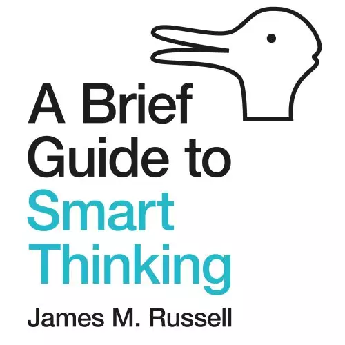Brief Guide to Smart Thinking