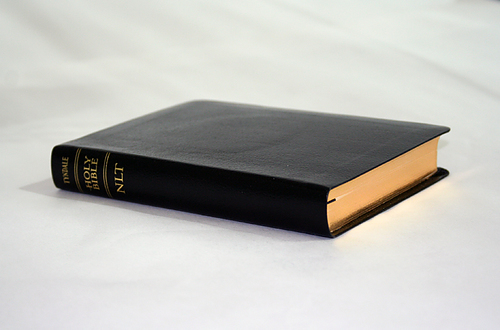 NLT Compact Bible (New Living Translation) Black, Bonded Leather | Free ...