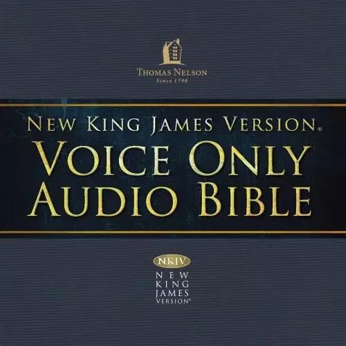 Voice Only Audio Bible - New King James Version, NKJV (Narrated by Bob Souer): (15) Job