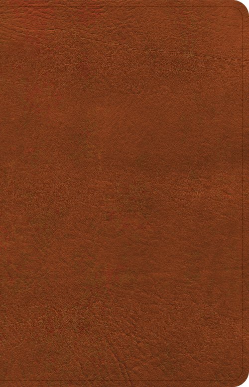 NASB Personal Size Bible, Burnt Sienna LeatherTouch
