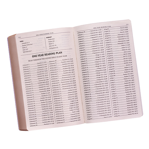 KJV Budget Gift & Award Lux-Leather Purple
