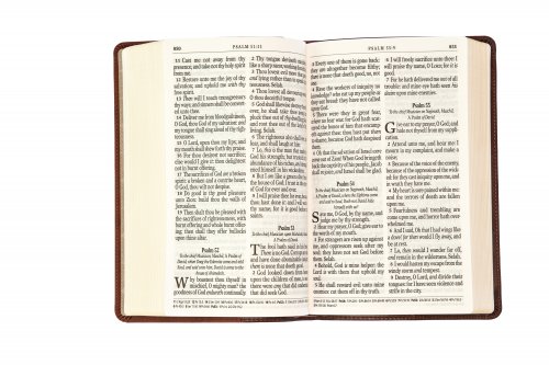KJV Giant Print Bible, Brown, Imitiation Leather, Red Letter, Reading Plan, Thematic Verse Finder, Gitl Edged, Ribbon Marker, Concordance, Maps, Cross-Reference