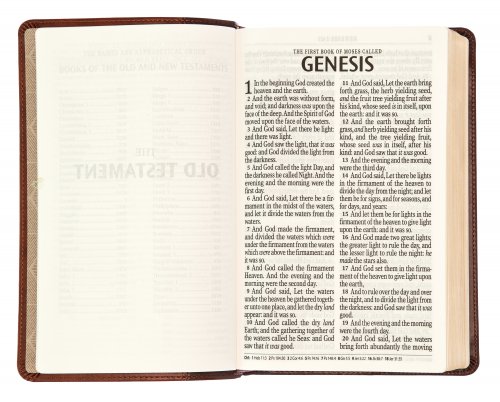KJV Giant Print Bible, Brown, Imitiation Leather, Red Letter, Reading Plan, Thematic Verse Finder, Gitl Edged, Ribbon Marker, Concordance, Maps, Cross-Reference