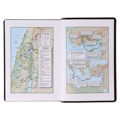 KJV Bible Giant Print Full-size Faux Leather, Dark Brown