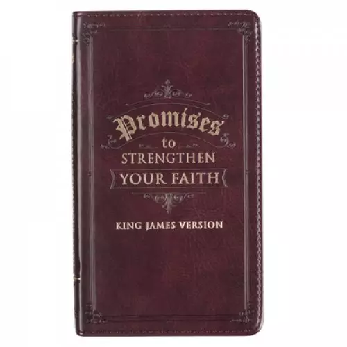 Gift Book Promises to Strengthen Your Faith KJV Faux Leather