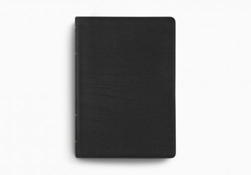 ESV Study Bible, Large Print, Genuine Leather, Black, Concordance, 20,000+ Study Notes, Maps