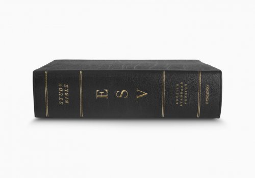 ESV Study Bible, Large Print, Genuine Leather, Black, Concordance, 20,000+ Study Notes, Maps