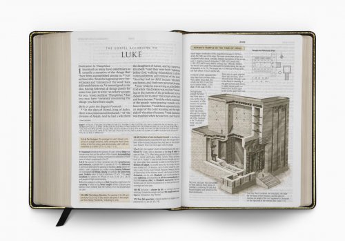 ESV Study Bible, Large Print, Genuine Leather, Black, Concordance, 20,000+ Study Notes, Maps