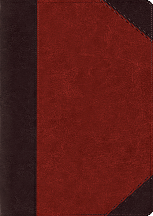 ESV Study Bible, Large Print