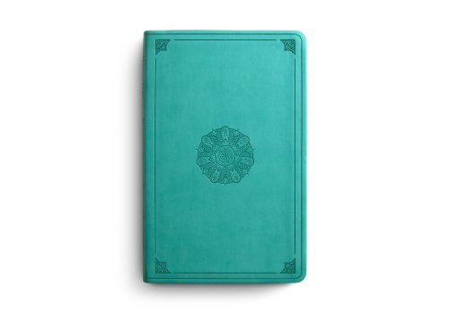 ESV Large Print Value Thinline Bible