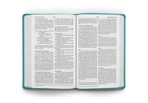 ESV Large Print Value Thinline Bible