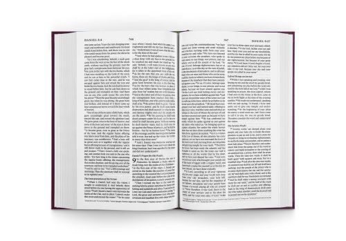 ESV Pew Bible (Hardcover, Burgundy)
