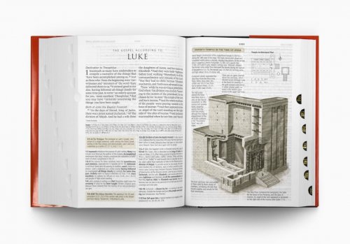 ESV Study Bible, Large Print, Indexed (Hardcover)