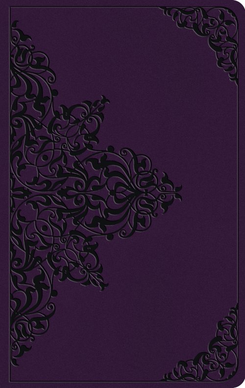 ESV Large Print Value Thinline Bible