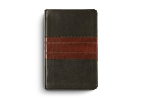 ESV Large Print Personal Size Bible, Red Letter (TruTone, Forest/Tan, Trail Design)