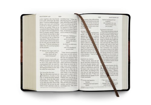 ESV Large Print Personal Size Bible, Red Letter (TruTone, Forest/Tan, Trail Design)
