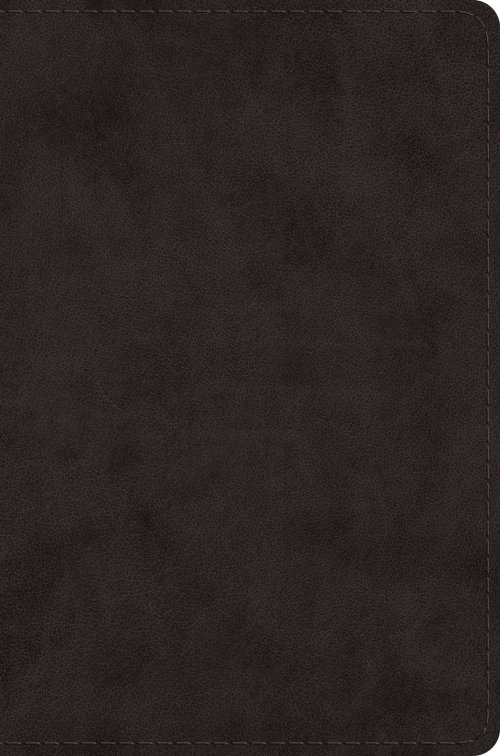 ESV Single Column Legacy Bible (TruTone, Black)