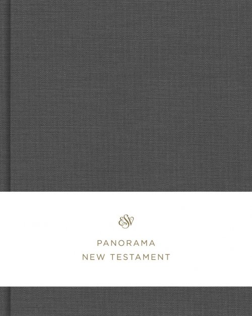ESV Panorama New Testament (Cloth over Board, Gray)