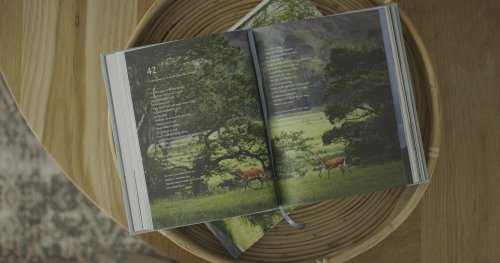 ESV Psalms, Photography Edition (Hardcover)