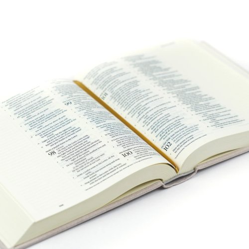 Hosanna Revival ESV Journaling Bible: Hallstatt Theme
