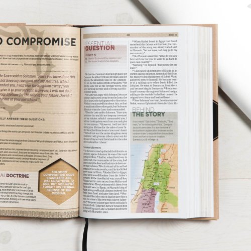 CSB Essential Teen Study Bible (Hardcover)