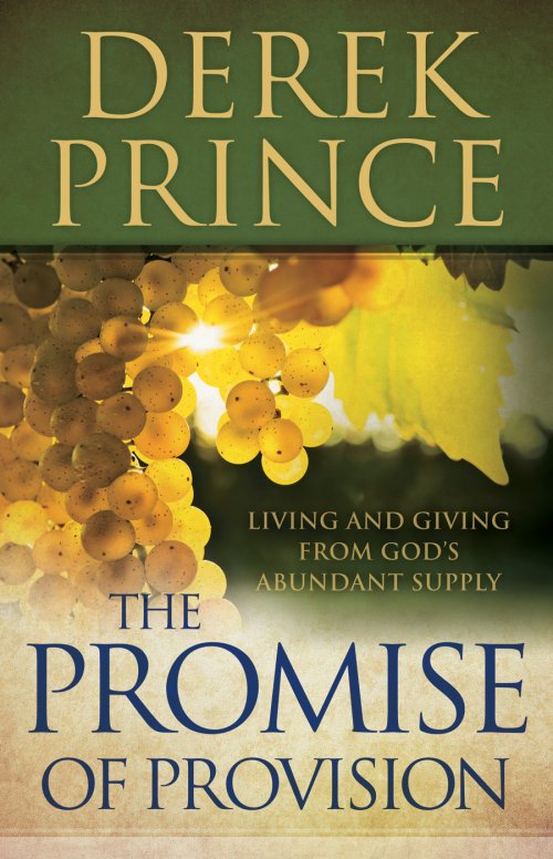 Promise of Provision, The [eBook]