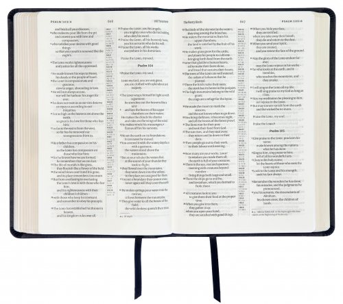 NIV Popular Cross-Reference Bible, Black, Bonded Leather, Anglicised Text, Maps, Reading Plan, Timeline, Book Overviews, Guidance on Topics & Passages