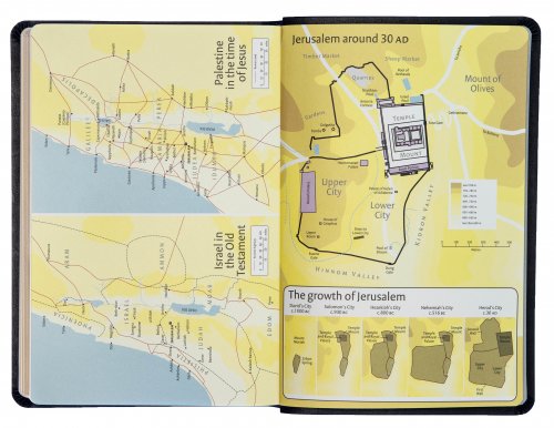 NIV Popular Cross-Reference Bible, Black, Bonded Leather, Anglicised Text, Maps, Reading Plan, Timeline, Book Overviews, Guidance on Topics & Passages