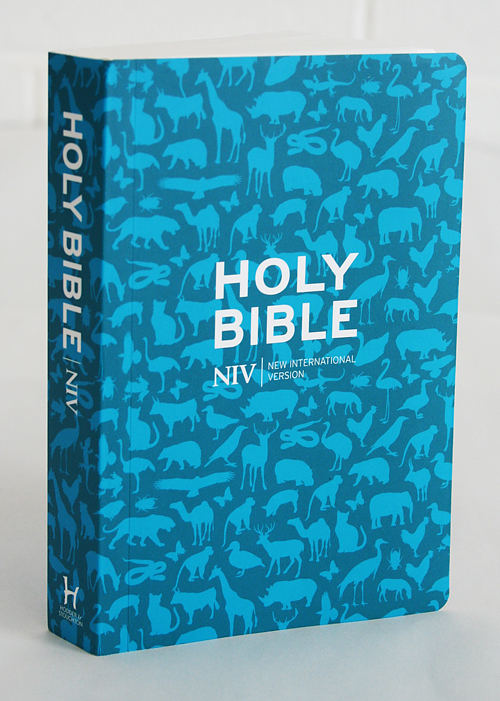 NIV Pocket Bible Anglicised Paperback Free Delivery when you spend £