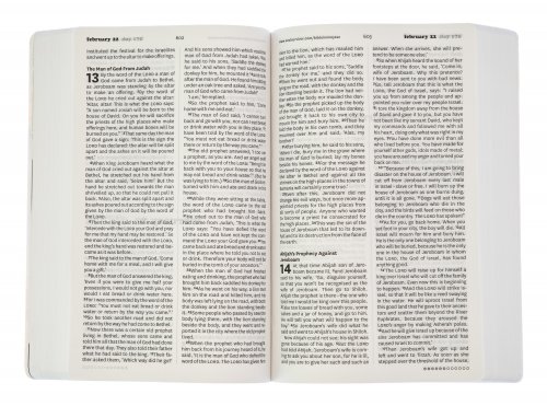 NIV Soul Survivor Bible in One Year