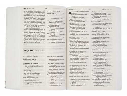 NIV Soul Survivor Bible in One Year