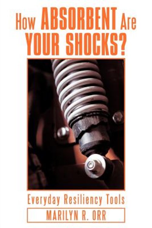 How Absorbent Are Your Shocks?: Everyday Resiliency Tools