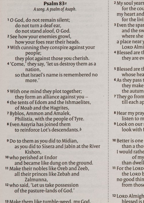 NIV Holy Bible, Purple, Paperback, Hodder Classic Design, Reading Plan, Anglicized Text, Topics Guide
