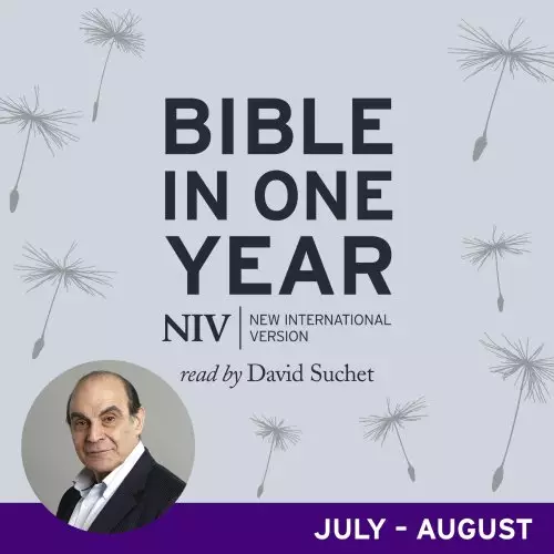 NIV Audio Bible in One Year (Jul-Aug)