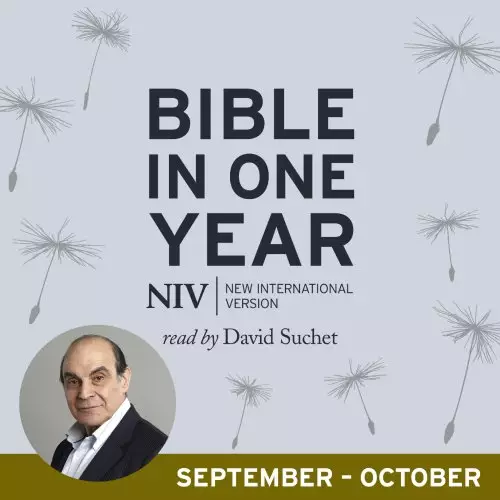 NIV Audio Bible in One Year (Sept-Oct)
